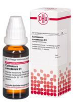 COLLINSONIA CANADENSIS D 1 Dilution