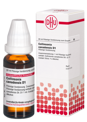 COLLINSONIA CANADENSIS D 1 Dilution