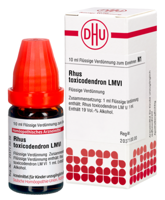 RHUS TOXICODENDRON LM VI Dilution