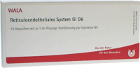 RETICULOENDOTHELIALES System GL D 6 Ampullen