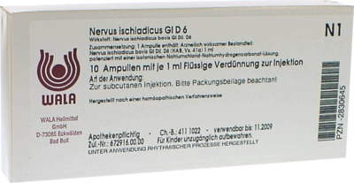 NERVUS ISCHIADICUS GL D 6 Ampullen