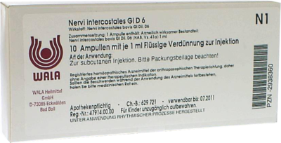NERVI intercostales GL D 6 Ampullen